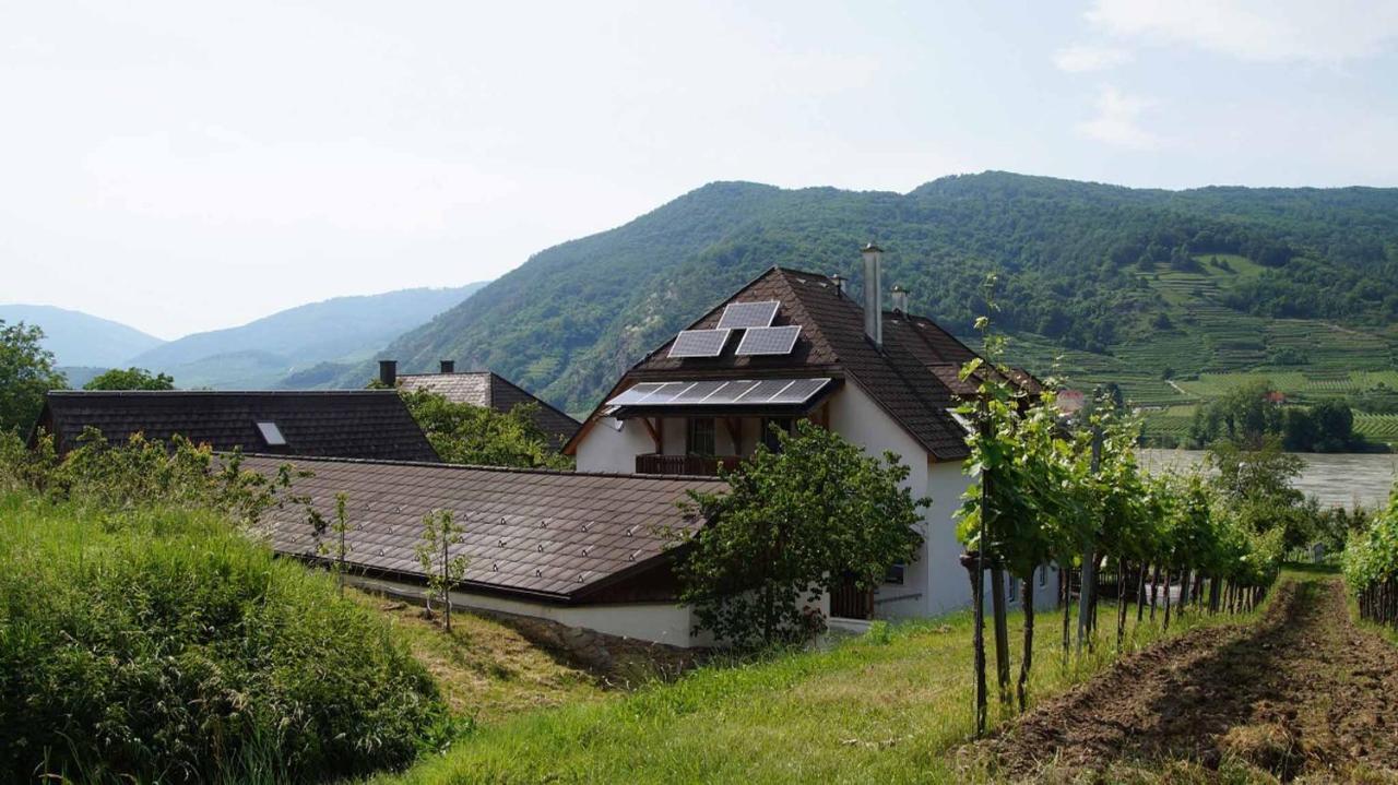 Weingut & Gaestezimmer Pammer Mitterarnsdorf Exterior foto