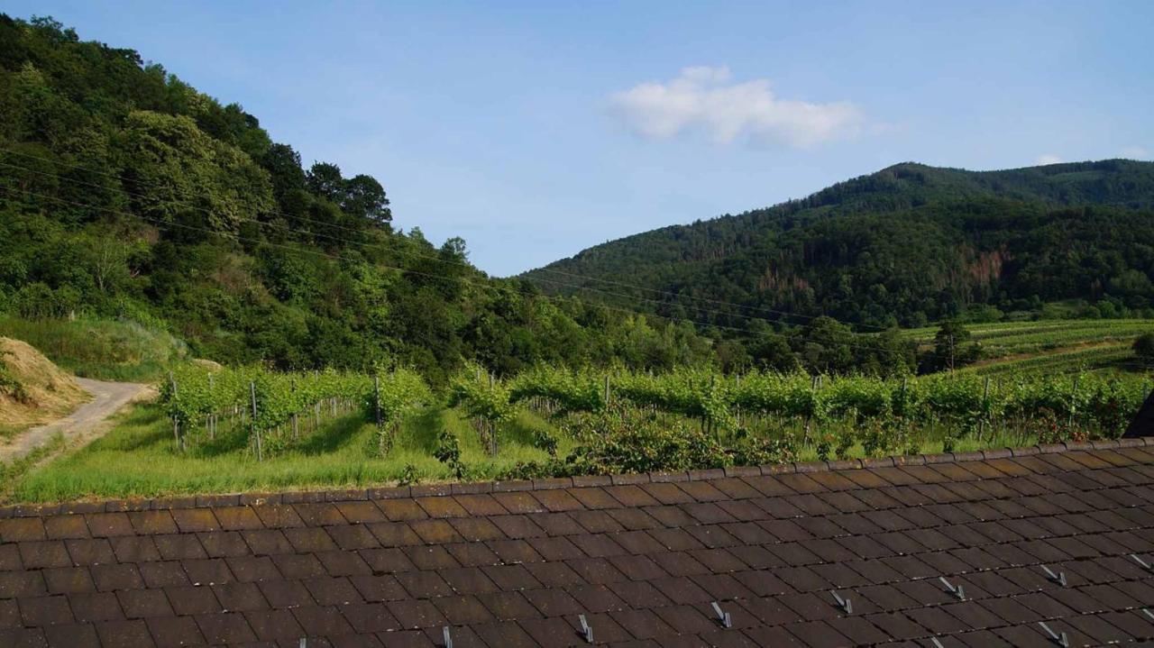 Weingut & Gaestezimmer Pammer Mitterarnsdorf Exterior foto